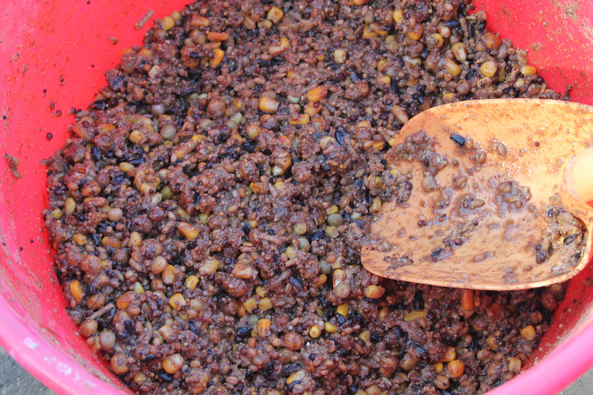 Harsany aprilie2013 - harsany-aprilie2013-011.JPG